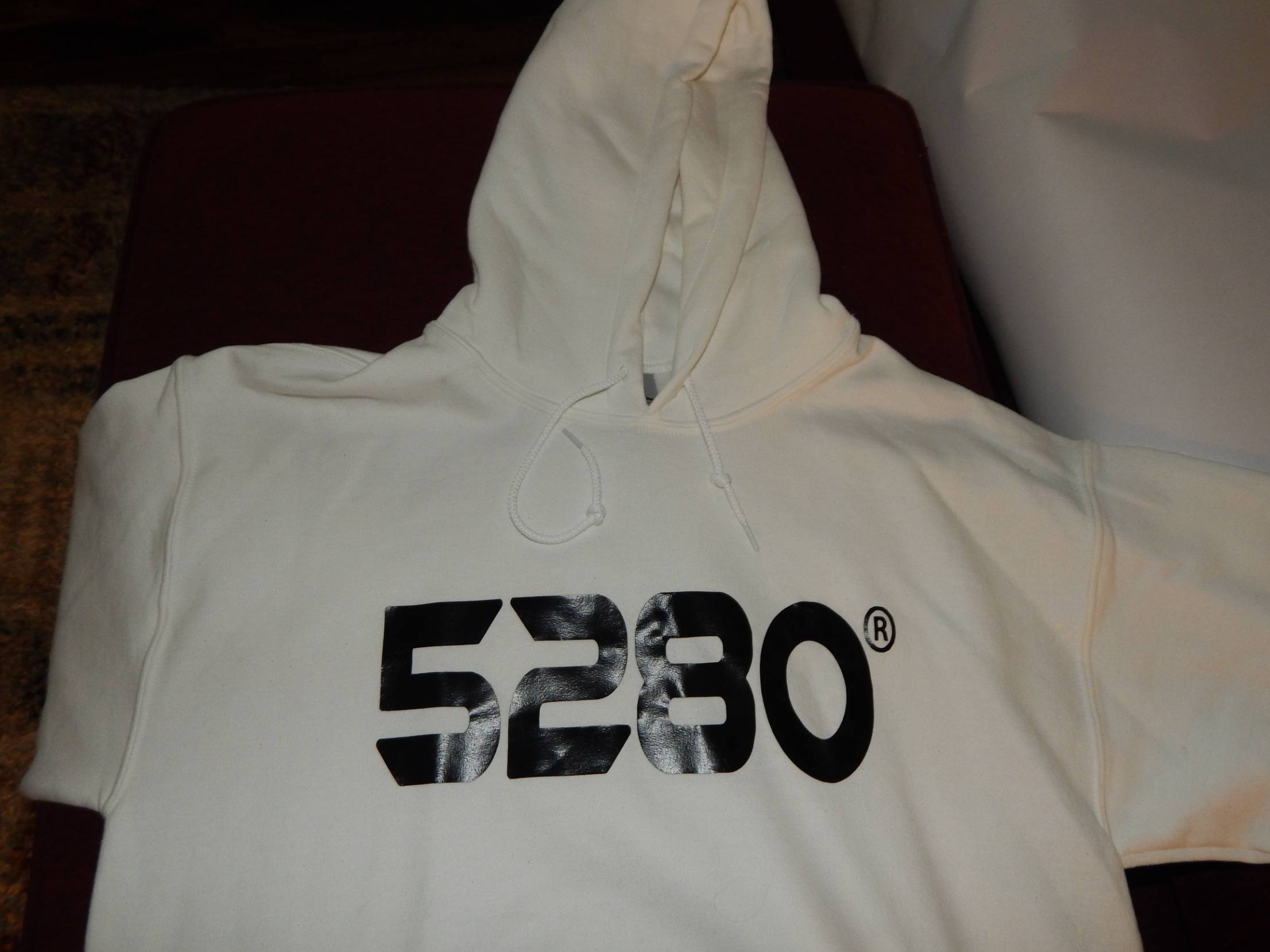 Premium Women's Hoodie Apparel & Gear for 2021 - Image 10
